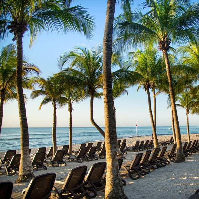 6D 5N in Playa del Carmen + 2 Kids Stay Free! (0-12) 👧🏻👦🏼 + All Inclusive 🥂 + Water Park 💦