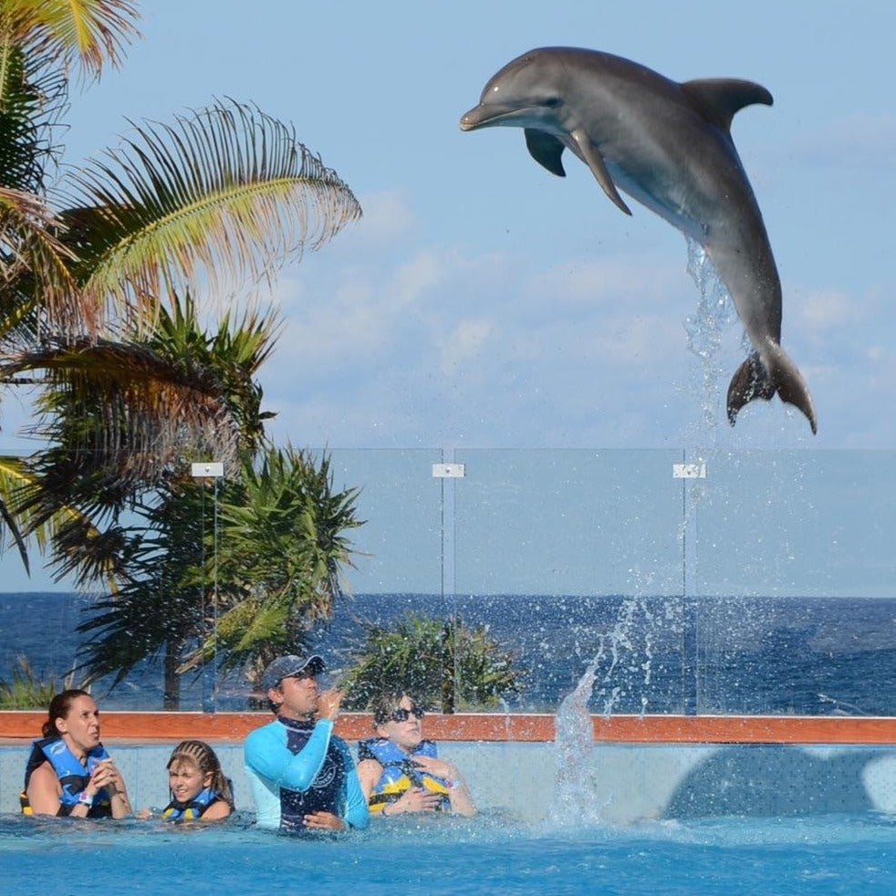 6D 5N in Riviera Maya Hotel 5⭐ + 2 Kids Stay Free (0-11) 👧🏻👦🏼 + All-Inclusive 🥂